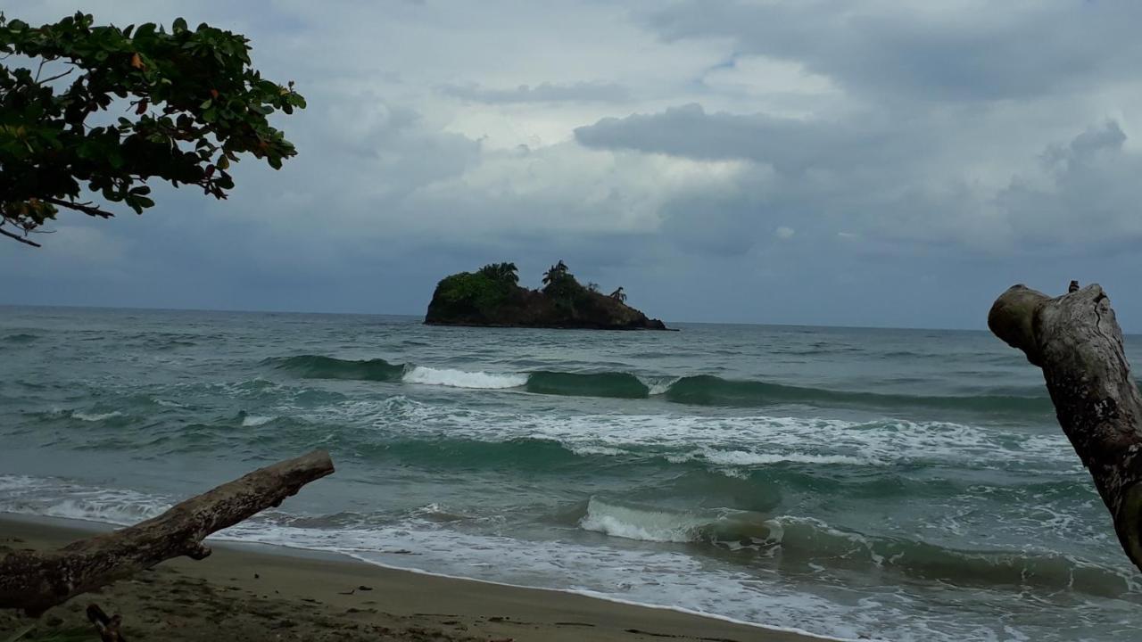 Hotel La Uvita Puerto Limon Eksteriør bilde